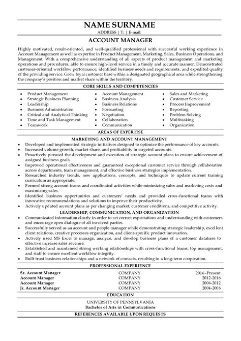account manager summary for resume.